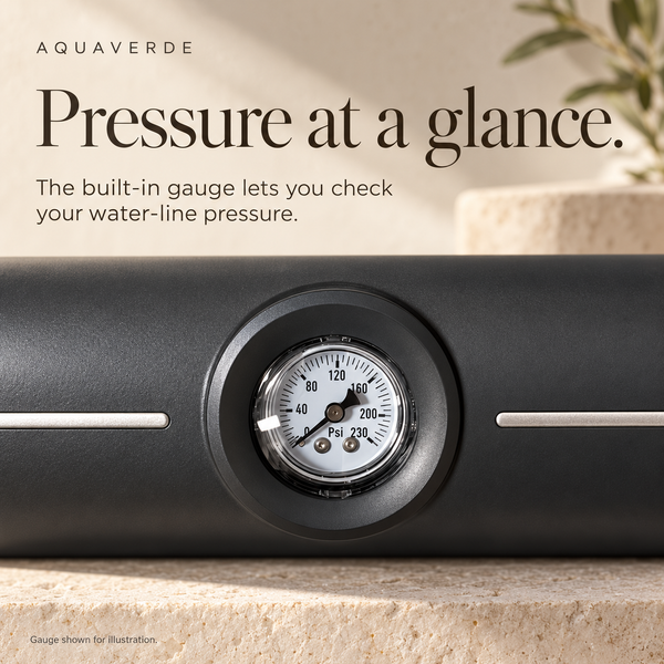 AquaVerde ScaleGuard pressure gauge detail